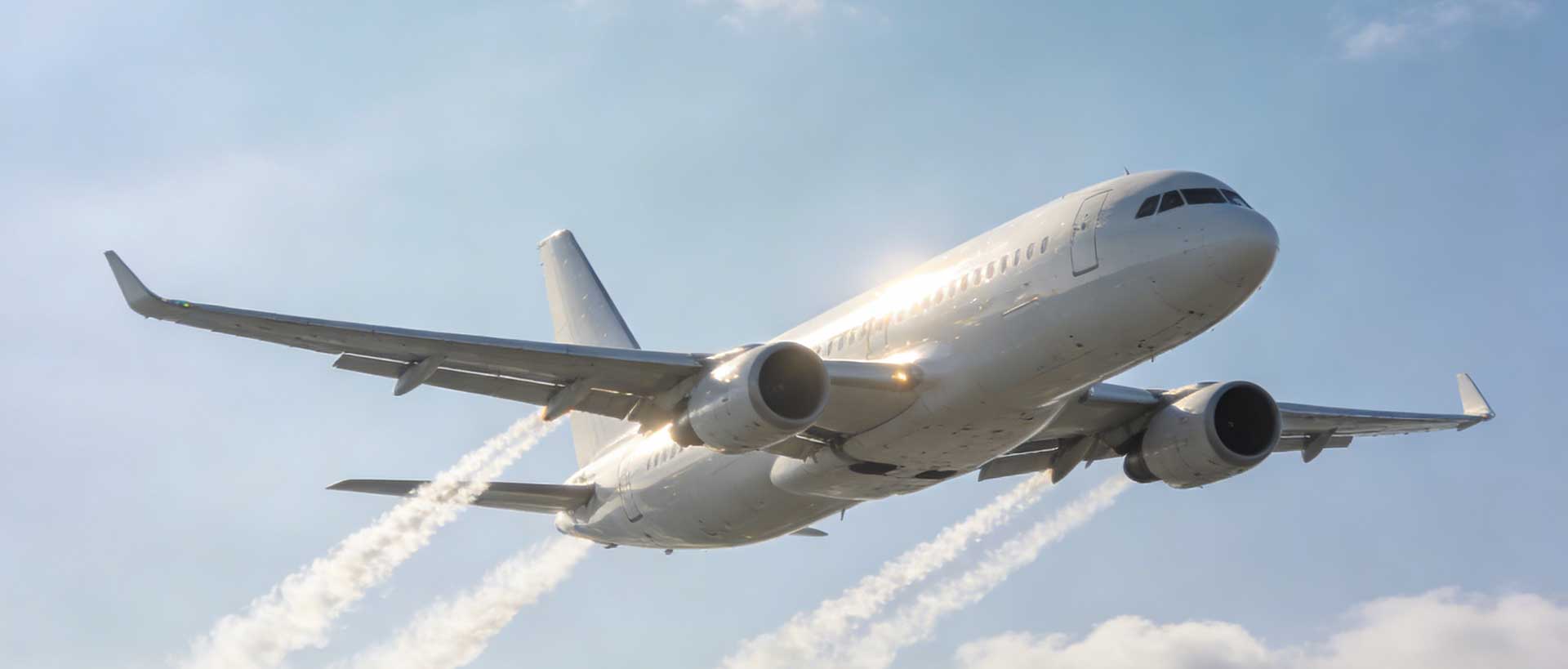 我们是谁?一群在欧洲